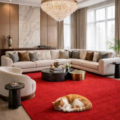 Modern Solid Red Hand Tufted Area Rug | Premium Plush Carpet for Living Room, Bedroom | Contemporary Luxury Home Decor