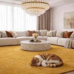 Mustard Yellow Area Rug, Soft Plush Rug, Modern Minimalist Home Decor
